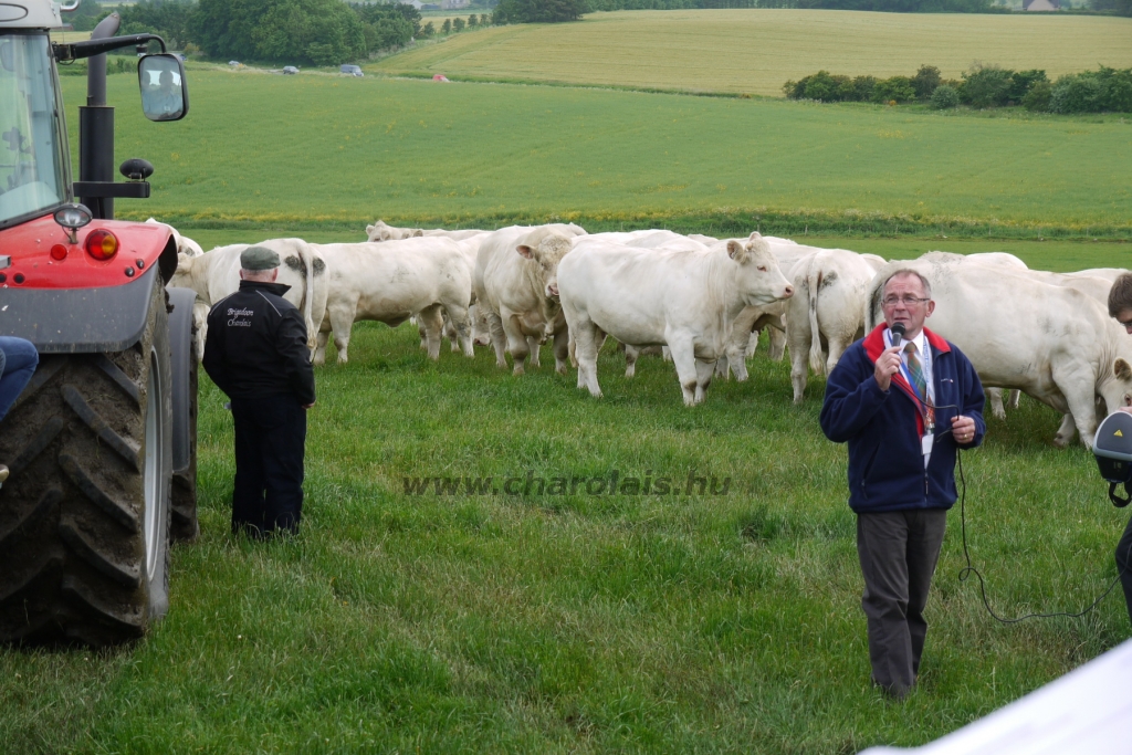 WCC Nagy-Britannia 2012 - DZ